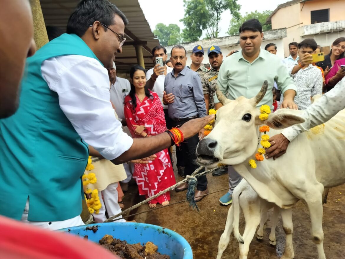 IMG-20251022-WA0004(1)